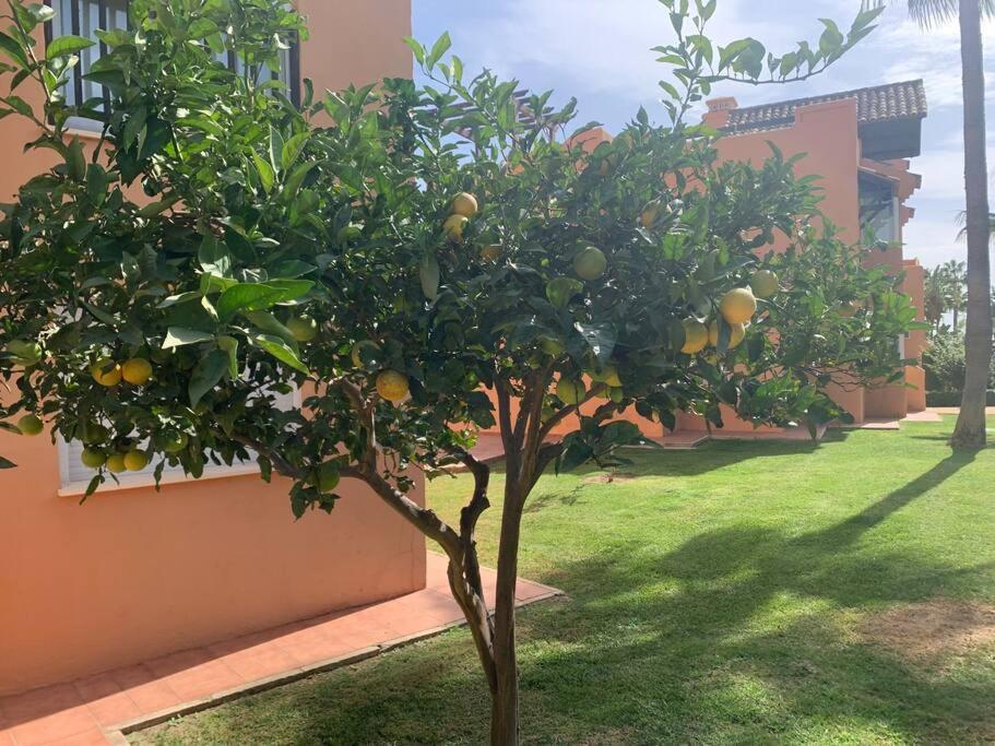 Schoenes Penthouse Mit Meerblick Pura Vida Bahia de Casares Bagian luar foto